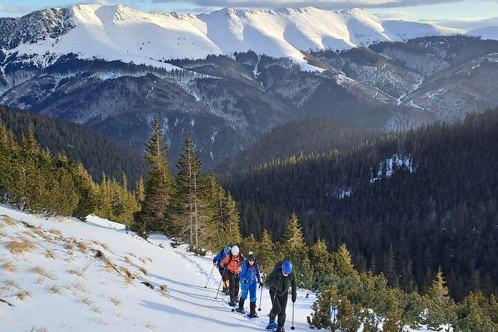 Visit Retezat National Park