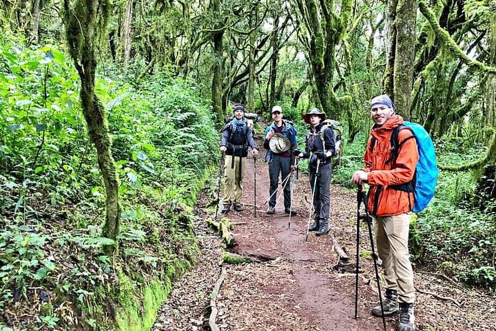 Mt Kilimanjaro Hiking via Marangu Route Day Trip