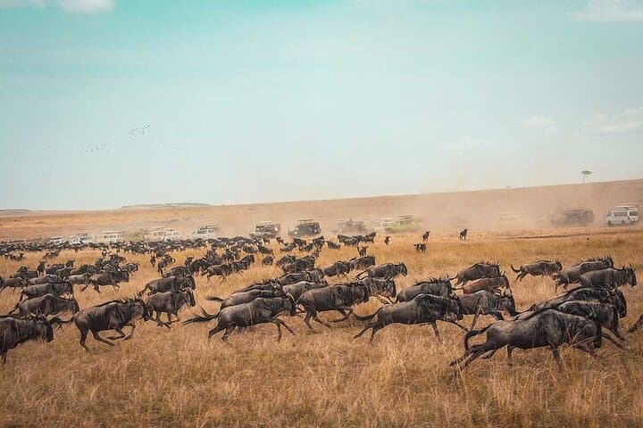 4-Day Serengeti Flying Safari Itinerary