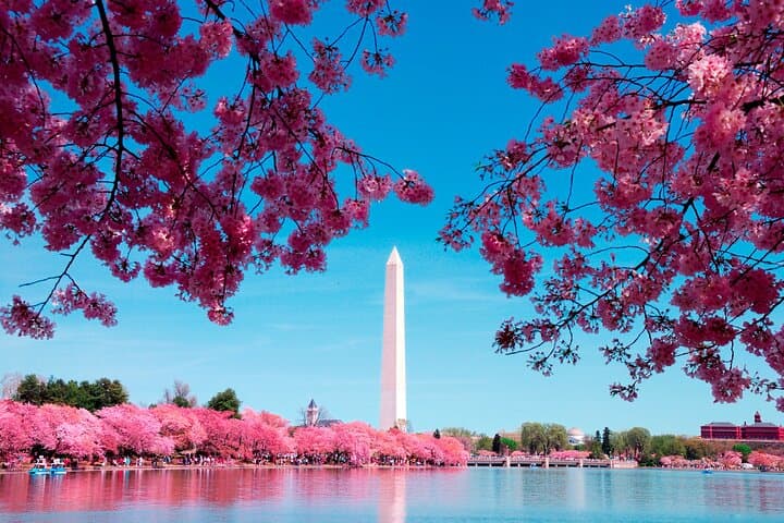 National Mall Monuments Tour with Washington Monument, Museums