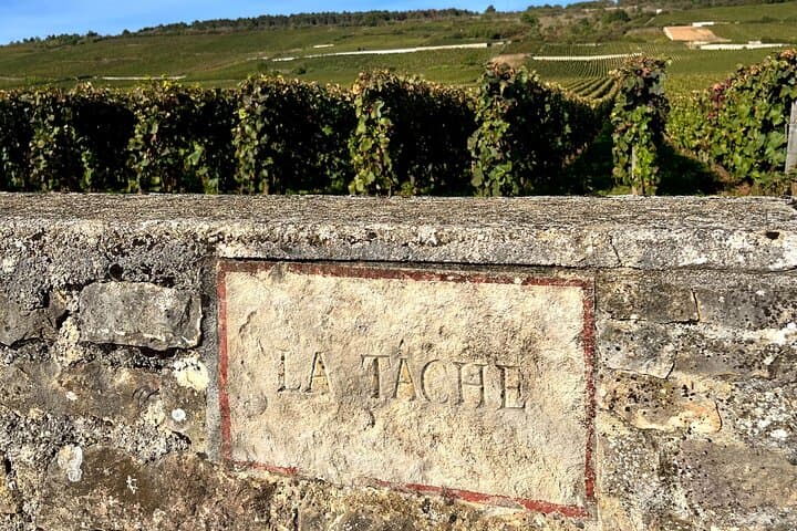Discover the great wines of Vosne-Romanée
