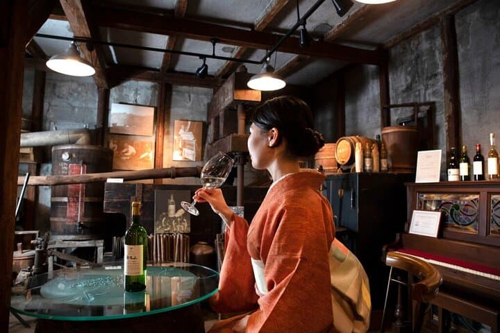 Osaka Winery Tour with Wine Tasting & Vineyard Walk