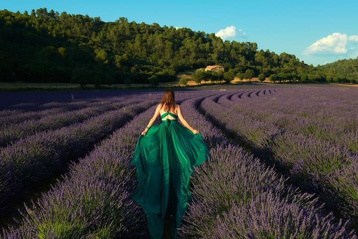 Lavender Field Photoshoot