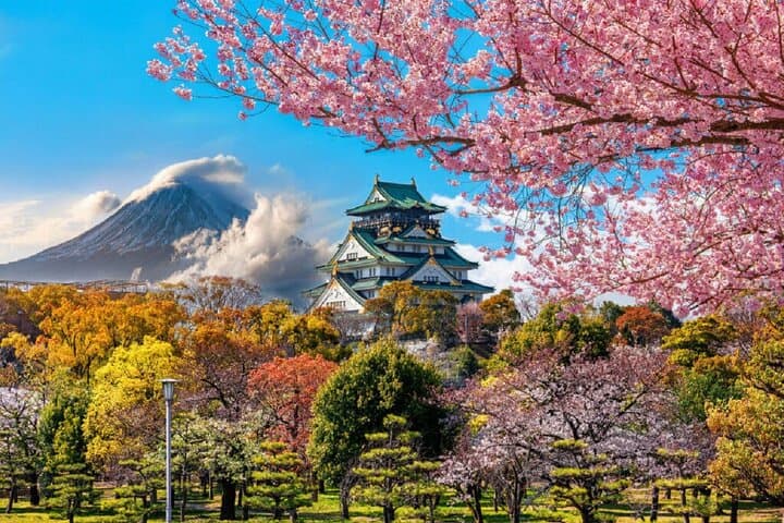 6 Days Tour in Japan