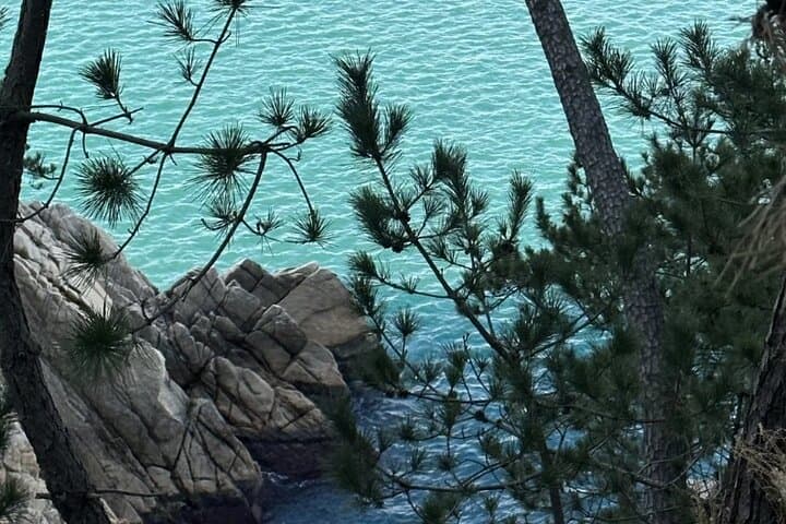 Ulsan Chartered Day Tour from Busan