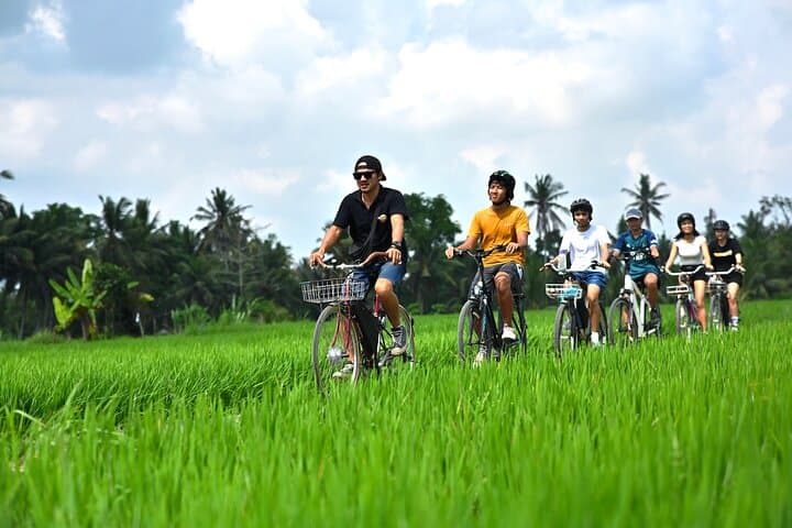 Bali’s Hidden Rivers & Fields: Private E-Bike Village Tour