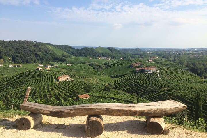 Full Day Wine Tour and Tasting in the Prosecco Region