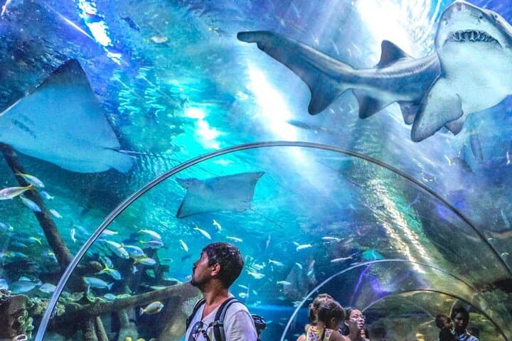 Aquaria KLCC Direct Entry Ticket in Kuala Lumpur