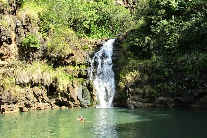 North Shore Tour from Ko Olina: Waimea Falls and Dole Plantation