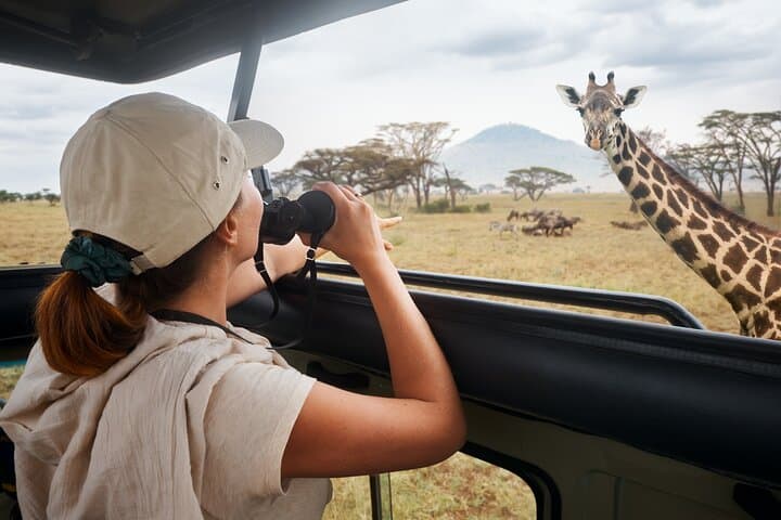 7 Days To Witness The Great Migration