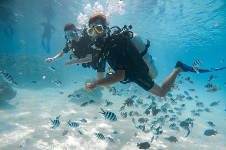 Introductory Dive in Bora Bora (afternoon)