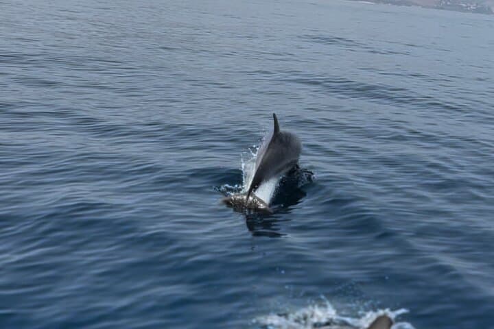 Exclusive sailing cruise in Taormina