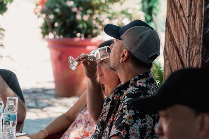 Tequila Day Trip