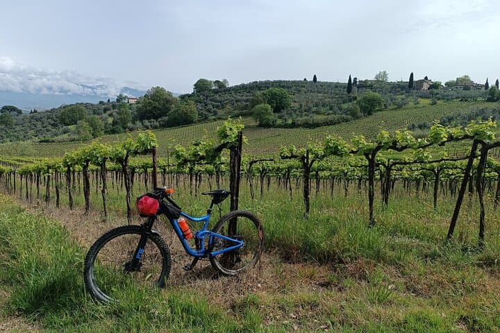 Mountain biking in the Tuscan Hills
