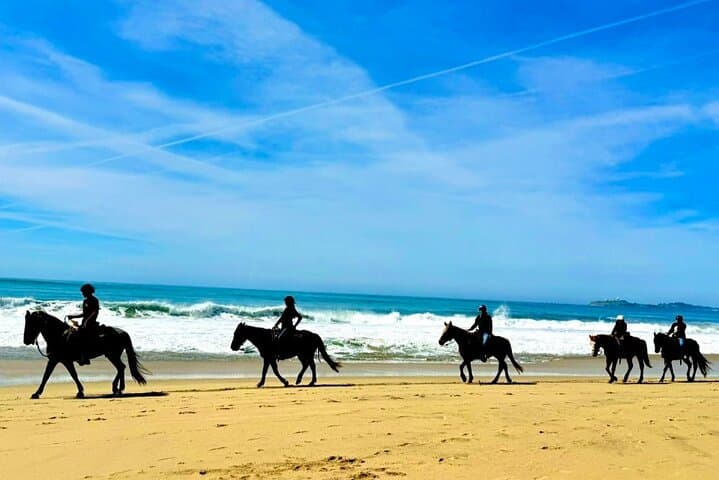 Horseback Ride & Alcatraz Prison Tickets