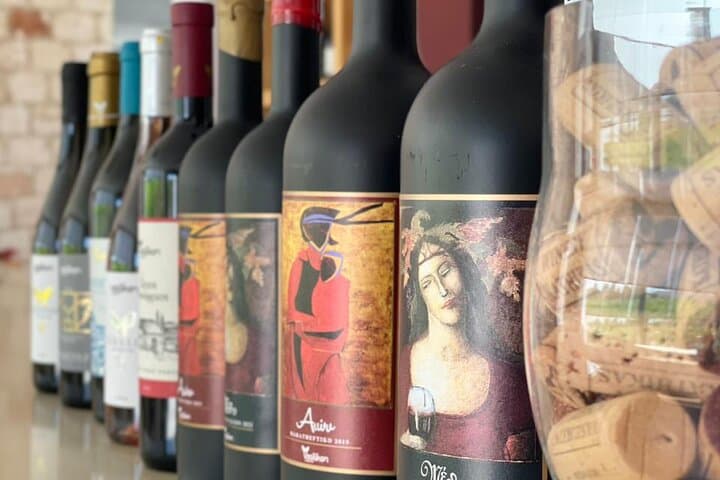 Akamas Wine Experience – All Incl.Tour