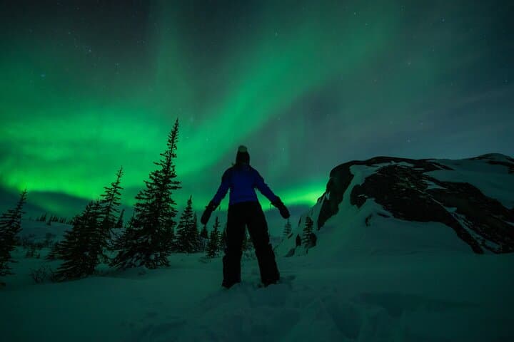 Churchill Northern Lights & Winter Nights
