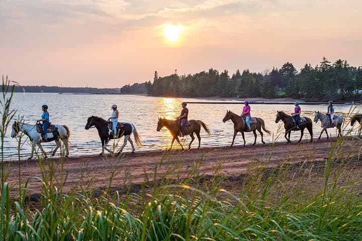 Lakeside Horseback Beach Ride