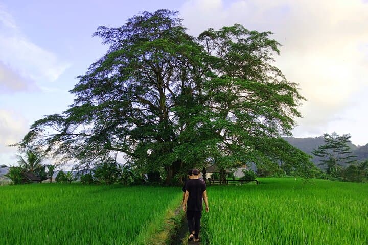Sidemen Trekking with Cultural Encounters and Nature Views