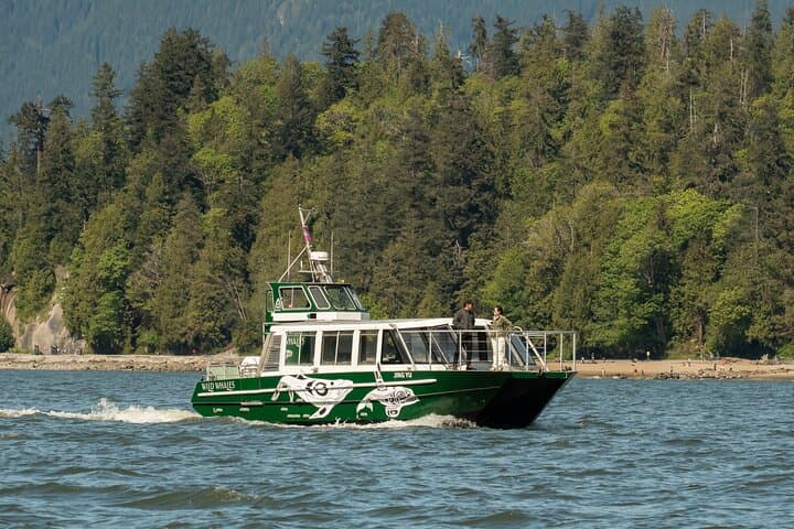Intimate West Coast Whale Watching - Partly-Sheltered