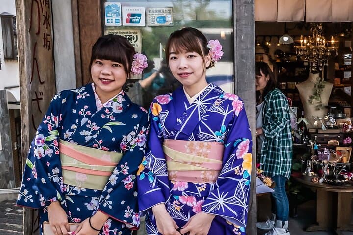 Osaka and Kyoto Private Car City Tour