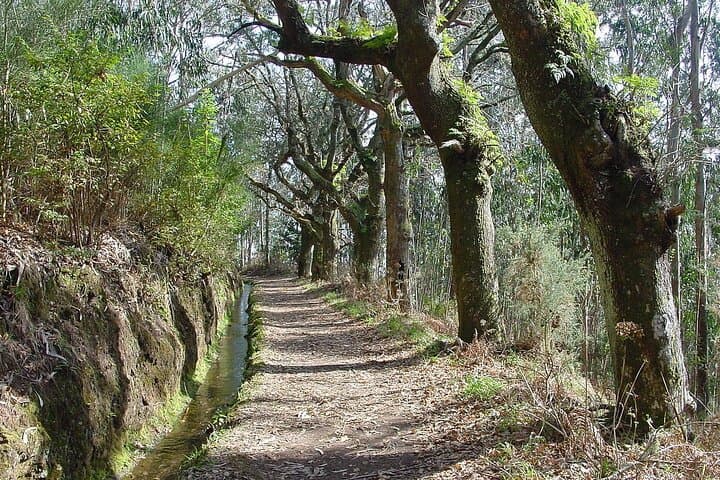 Madeira Levada Paradise Valley