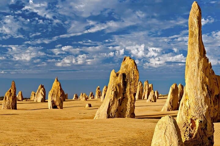 6 Hours Pinnacles Express Tour