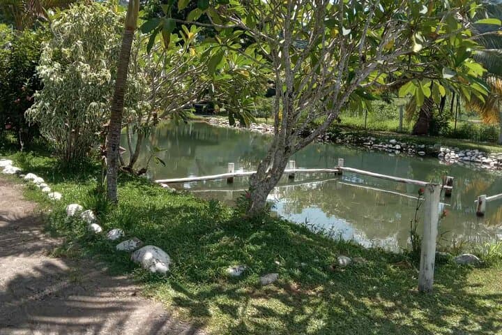 Private Nadi Tour