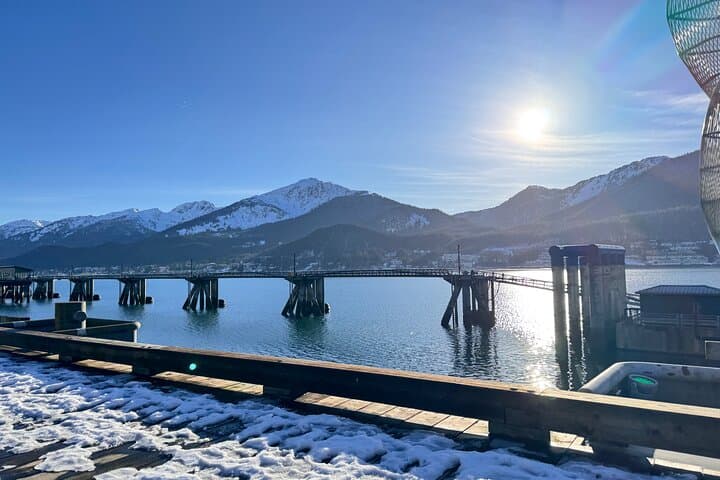 Mendenhall Glacier & Juneau Highlights Small Group Tour