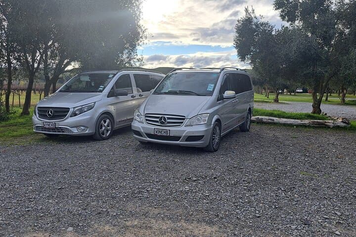 Wine Tasting Tour in Napier Region