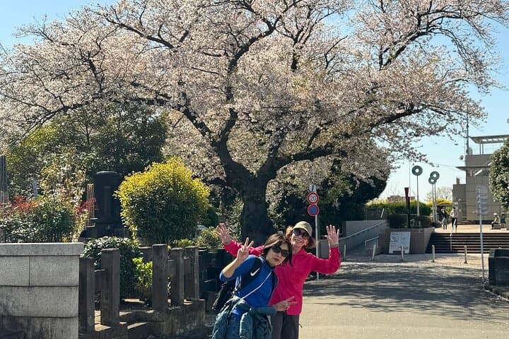 Historic Temple・traditional Japanese garden＆ Eating around at a shopping strip