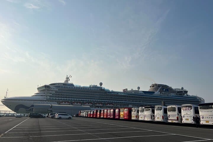 For Busan Cruise Guest highlight Day tour