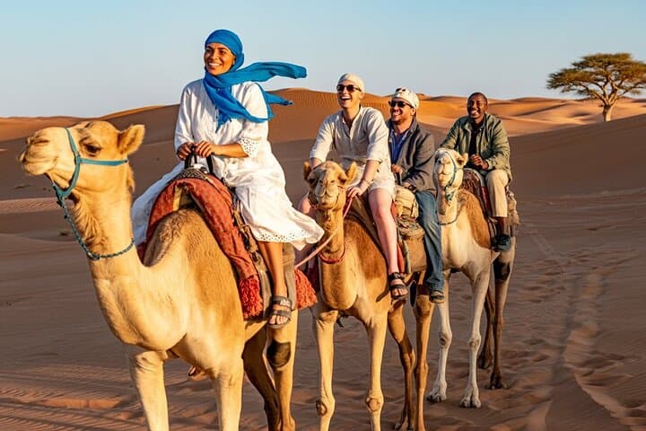 Agafay Desert with Camel Ride, Quad Adventure and Desert Dinner