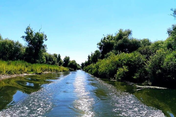 Wild Danube Boat Day Trip in the Delta: PREMIUM TOUR small group