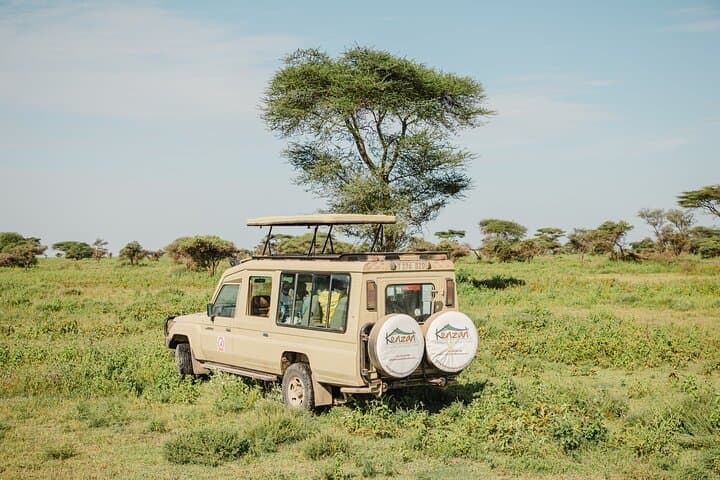 Private 4-Day Wildlife Encounter in Tanzania