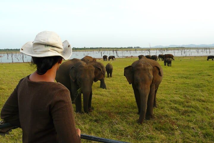 Essence of Sri Lanka 8 Day Tour with Gotrex Tours