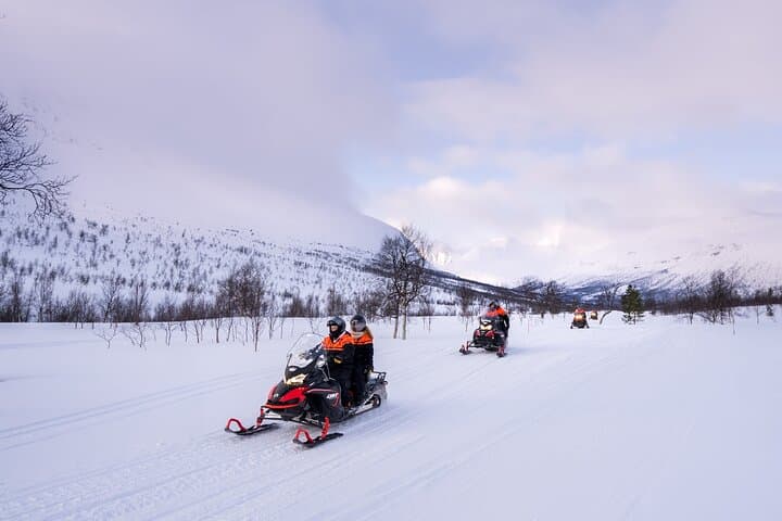 Arctic Combo: Dog Sledding, Snowmobiling & Reindeer Visit