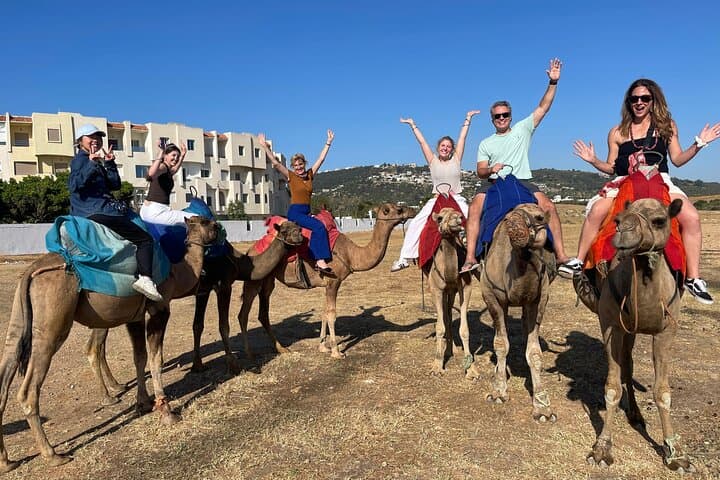Private luxury tour in Tangier, including camel ride.