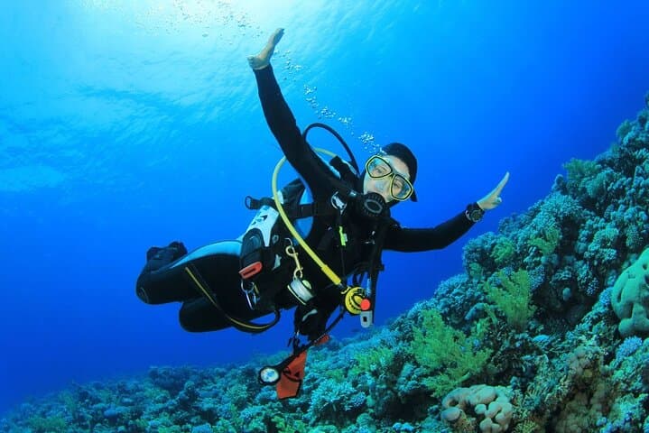 Half Day Scuba Dive in the Mediterranean from Chefchaouen