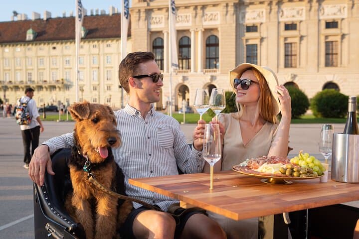 Vienna Wine Tasting Experience in a Classic Oldtimer