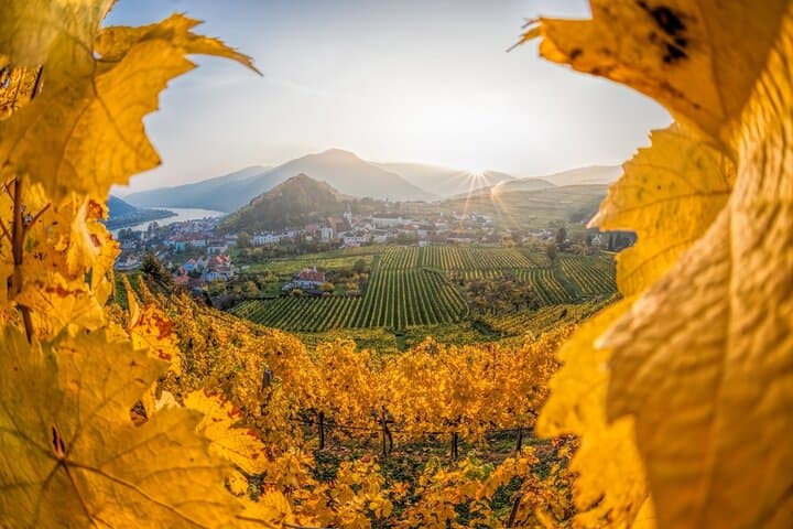 Vienna: Wachau Wonders & Magical Hallstatt Small-Group Day Trip
