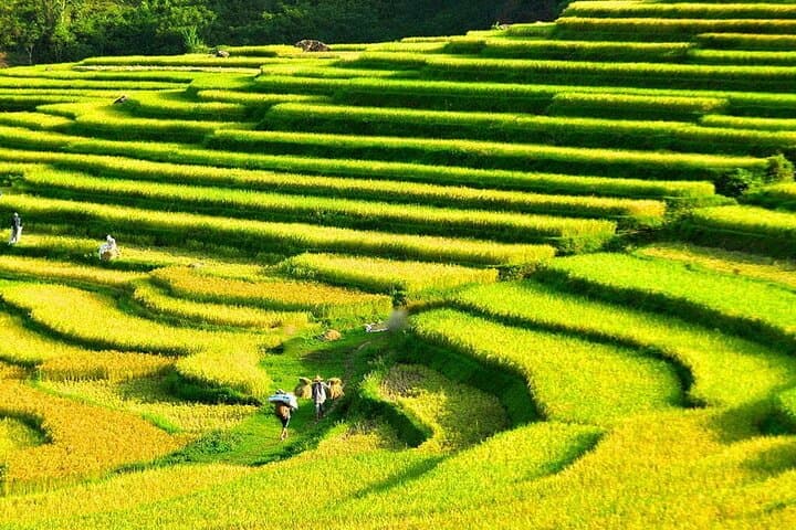 3 Days Pu Luong Off-road Trekking Best for Mountain Lovers