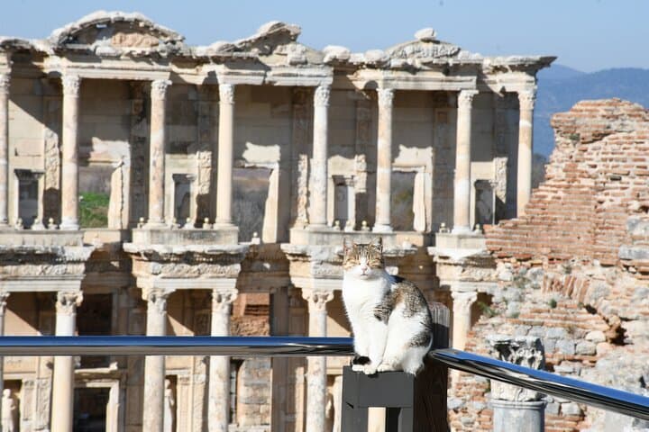 Luxury Ephesus Tour Departing from Kusadasi Port