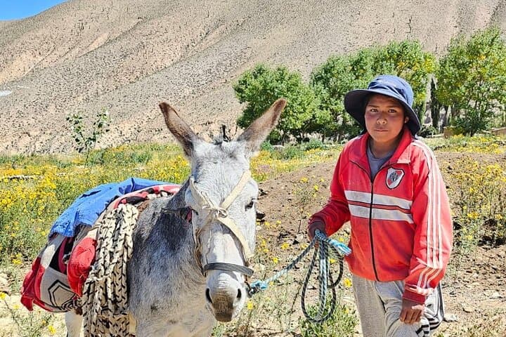 Discover Humahuaca Hornocal and Iruya Full Tour in 2 Days