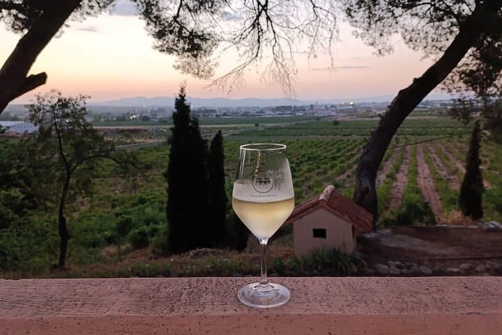 From Valencia Utiel Requena Wine Tour