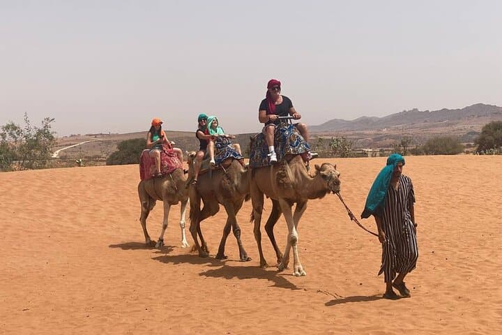 Comedy or Horseback Ride EN Agadir