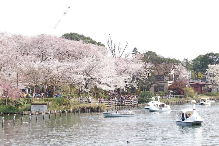 Let's take a walk in the park together!!!