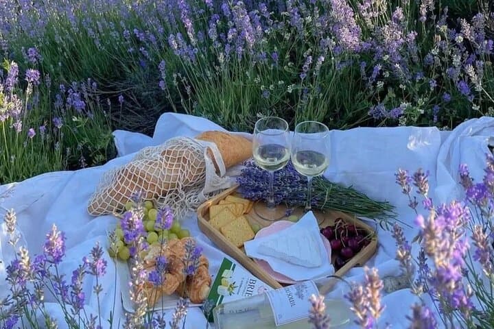 Lavender Fields and Hilltop Villages with Car and Private Guide