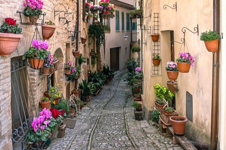 Assisi Day Trip with Olive Oil Tasting and Guide