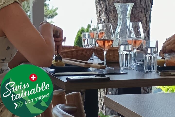 Swiss Vineyard Wine Tasting Tour in Vaud